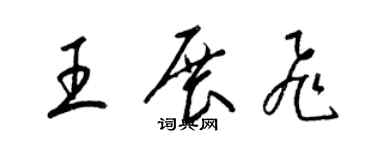 梁锦英王展飞草书个性签名怎么写