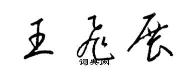 梁锦英王飞展草书个性签名怎么写