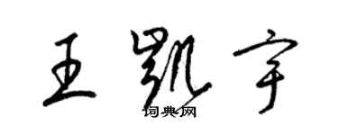 梁锦英王凯宇草书个性签名怎么写