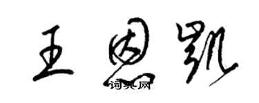 梁锦英王恩凯草书个性签名怎么写