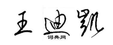 梁锦英王迪凯草书个性签名怎么写