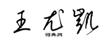 梁锦英王尤凯草书个性签名怎么写
