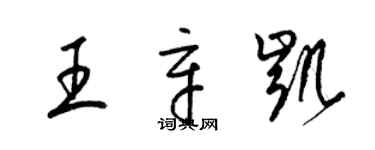 梁锦英王辛凯草书个性签名怎么写