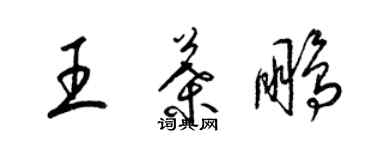 梁锦英王叶鹏草书个性签名怎么写