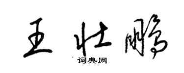 梁锦英王壮鹏草书个性签名怎么写