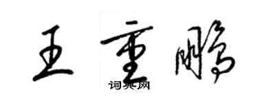 梁锦英王重鹏草书个性签名怎么写