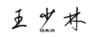 梁锦英王少林草书个性签名怎么写