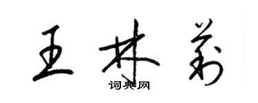 梁锦英王林莉草书个性签名怎么写