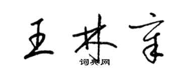 梁锦英王林章草书个性签名怎么写