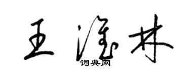 梁锦英王淮林草书个性签名怎么写