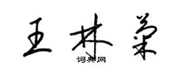 梁锦英王林菊草书个性签名怎么写