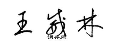 梁锦英王威林草书个性签名怎么写