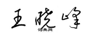 梁锦英王晓峰草书个性签名怎么写