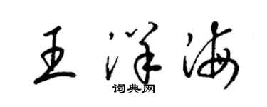 梁锦英王洋海草书个性签名怎么写