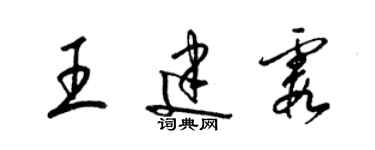 梁锦英王建霞草书个性签名怎么写