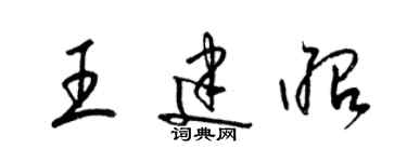 梁锦英王建昭草书个性签名怎么写