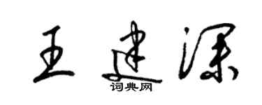 梁锦英王建深草书个性签名怎么写