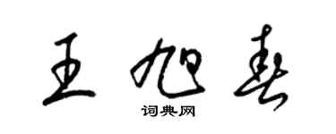梁锦英王旭春草书个性签名怎么写