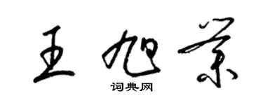 梁锦英王旭业草书个性签名怎么写