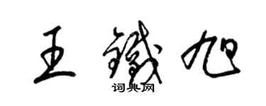 梁锦英王铁旭草书个性签名怎么写