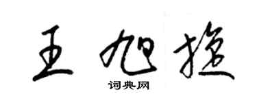 梁锦英王旭旋草书个性签名怎么写