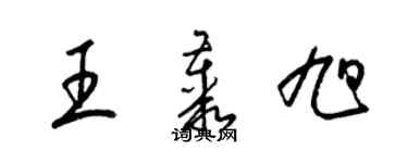 梁锦英王丛旭草书个性签名怎么写