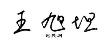 梁锦英王旭坦草书个性签名怎么写