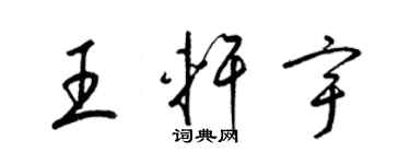 梁锦英王轩宇草书个性签名怎么写