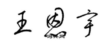 梁锦英王恩宇草书个性签名怎么写