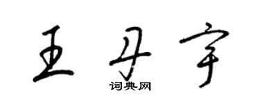 梁锦英王丹宇草书个性签名怎么写