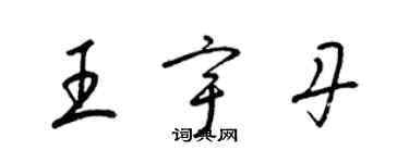梁锦英王宇丹草书个性签名怎么写