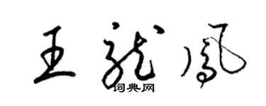 梁锦英王龙凤草书个性签名怎么写