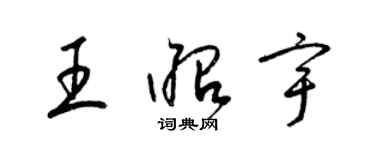 梁锦英王昭宇草书个性签名怎么写