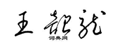 梁锦英王韶龙草书个性签名怎么写