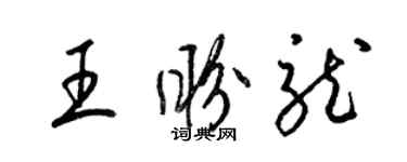 梁锦英王盼龙草书个性签名怎么写