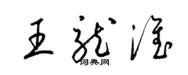 梁锦英王龙淮草书个性签名怎么写