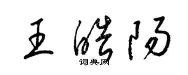 梁锦英王皓阳草书个性签名怎么写