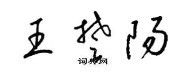 梁锦英王楚阳草书个性签名怎么写