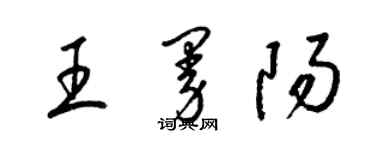 梁锦英王曼阳草书个性签名怎么写