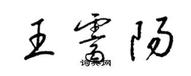 梁锦英王霁阳草书个性签名怎么写