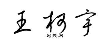 梁锦英王柯宇草书个性签名怎么写