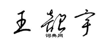 梁锦英王韶宇草书个性签名怎么写