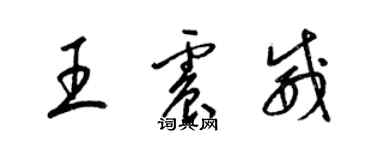 梁锦英王震威草书个性签名怎么写