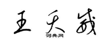 梁锦英王夭威草书个性签名怎么写