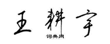 梁锦英王耕宇草书个性签名怎么写