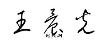 梁锦英王晨光草书个性签名怎么写