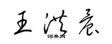 梁锦英王洪晨草书个性签名怎么写