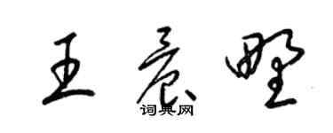 梁锦英王晨野草书个性签名怎么写