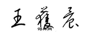 梁锦英王获晨草书个性签名怎么写