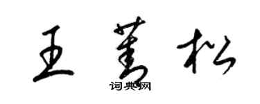 梁锦英王菁松草书个性签名怎么写